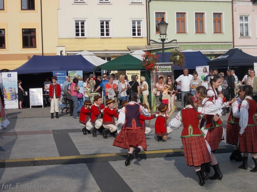 Dzień Inicjatyw Pozarządowych w Płocku [FOTO, WDIEO]