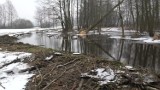 Usunięto drzewa znad jeziora Ostrowitego w powiecie lipnowskim