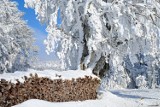 POGODA na Boże Narodzenie 2020. Jakie będą tegoroczne święta? Czy możemy liczyć na śnieg? 15.12.2020