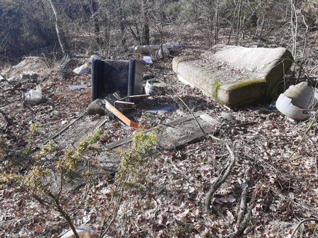 Dzikie wysypisko śmieci w Adelinowie (gmina Sulejów). Tony śmieci w lesie nad Pilicą