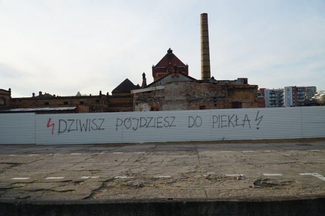 Przechadzając się po Poznaniu można na murach przeczytać zwykłe wulgaryzmy, ale na murach znajduję się także efektowne graffiti oraz teksty, które wrażają coś więcej. Zobaczcie sami.

Kolejne zdjęcie-->