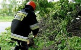 Lubliniec: Straż pożarna już wczoraj usuwała połamane konary