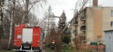 Wichura w Sławnie. Drzewo poleciało na blok mieszkalny ZDJĘCIA - aktualizacja