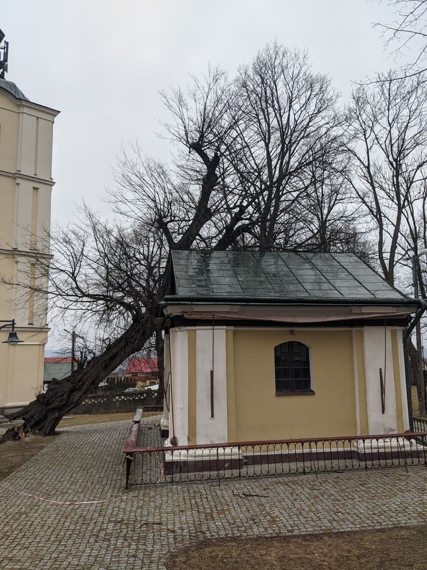 Drzewo runęło na kaplicę św. Anny w Kalwarii Pacławskiej.