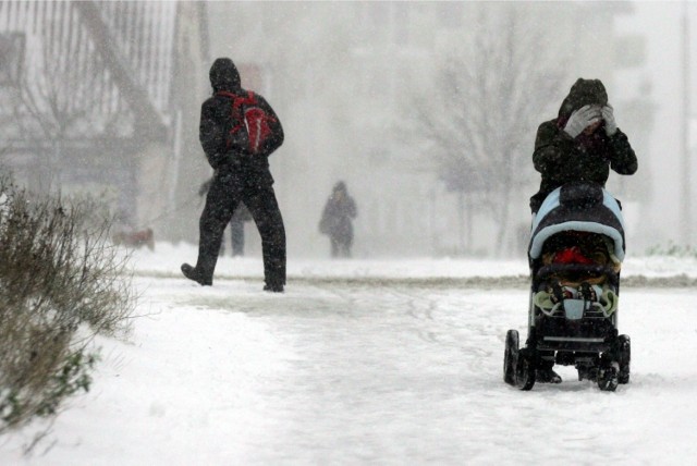 IMGW-PIB ostrzega: w Małopolsce spadnie śnieg i będzie wiał silny wiatr.