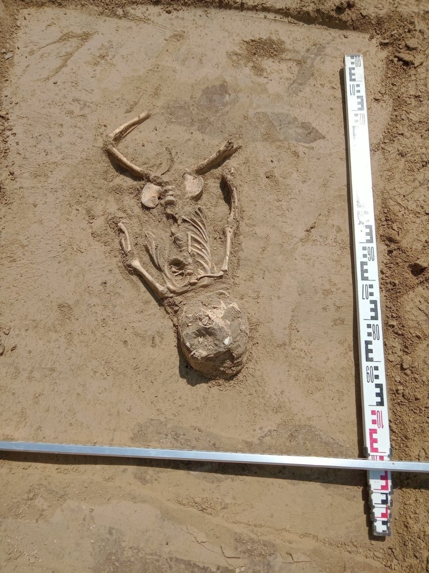 Szczątki dziecka odkryto na Górze Trzech Krzyży w Kazimierzu...