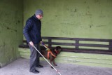 Niewidomy Emil Zieliński z Wioski ma swojego psa przewodnika. Chłopak nie widzi od urodzenia