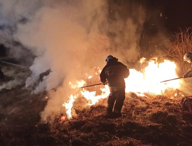 Całą noc jednostka OSP KSRG Osobnica spędziła na gaszeniu płonących traw w tej miejscowości.