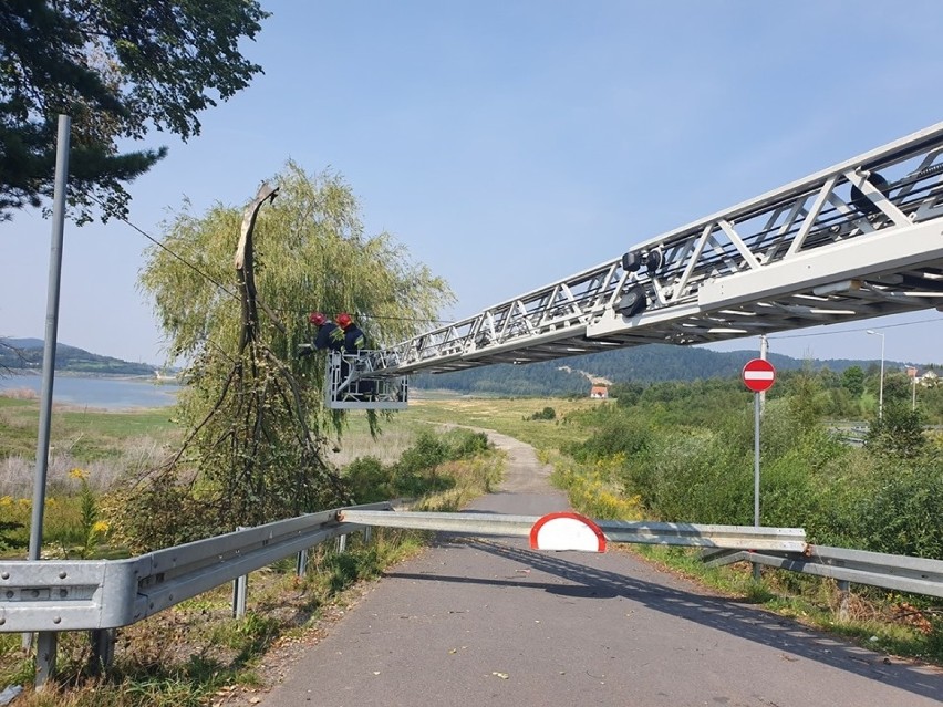 Interwencja strażaków przy drodze nad Jeziorem Mucharskim