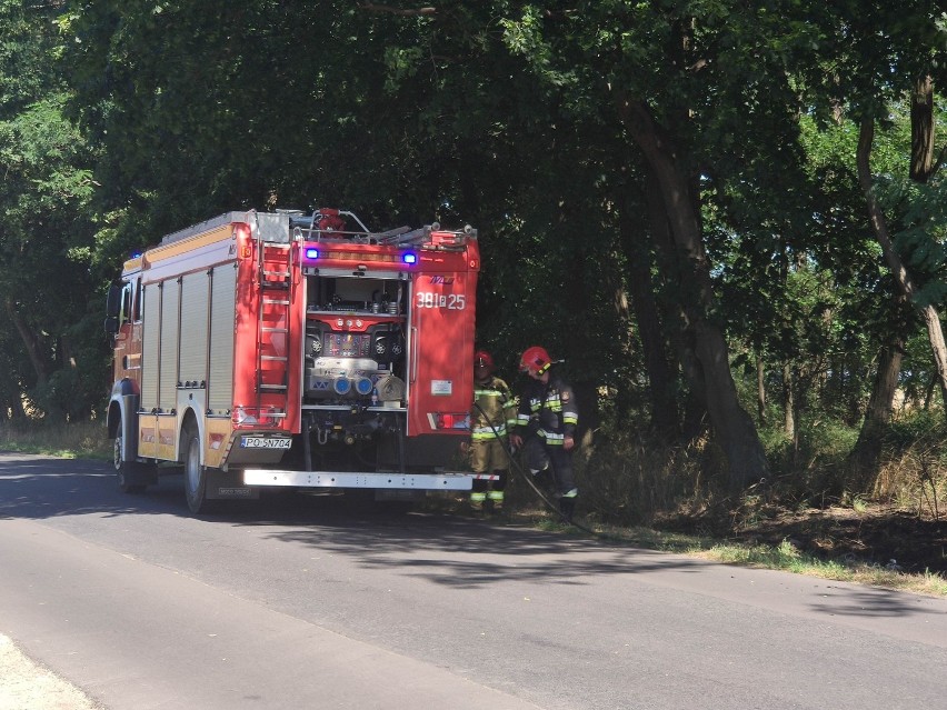 Leszno. Trzy pożary pod Gronówkiem. To podpalenia? Sprawę bada policja [ZDJĘCIA]