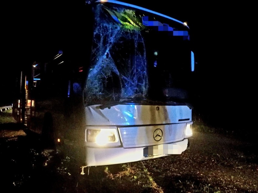 Groźny wypadek pod Strzelinem: autobus wypadł z drogi i uderzył w drzewo (ZDJĘCIA)