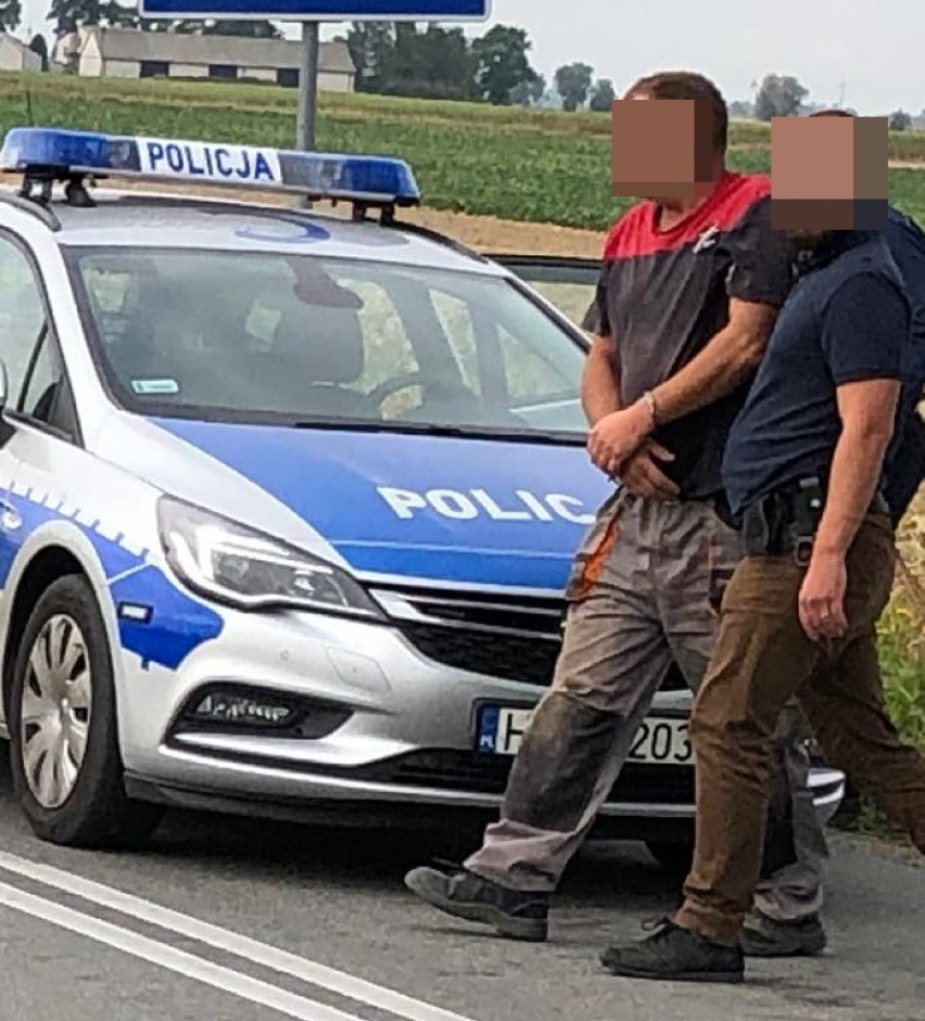 Wypadek na drodze Włocławek - Radziejów. Pijany kierowca uciekł i ukrył się w kukurydzy [zdjęcia]