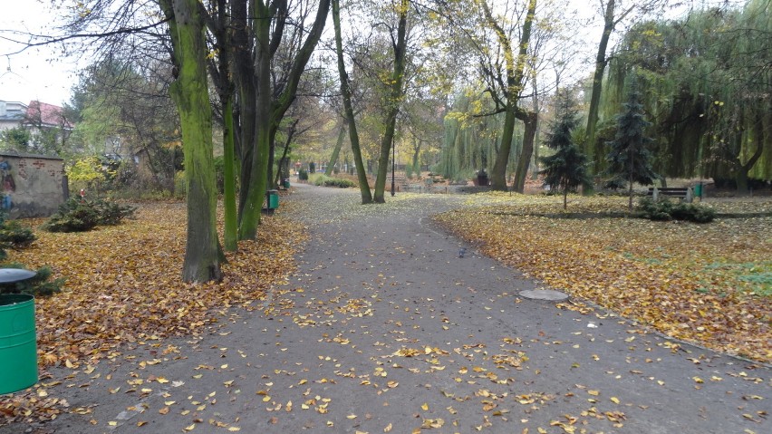 Zgarnęli liście w parku