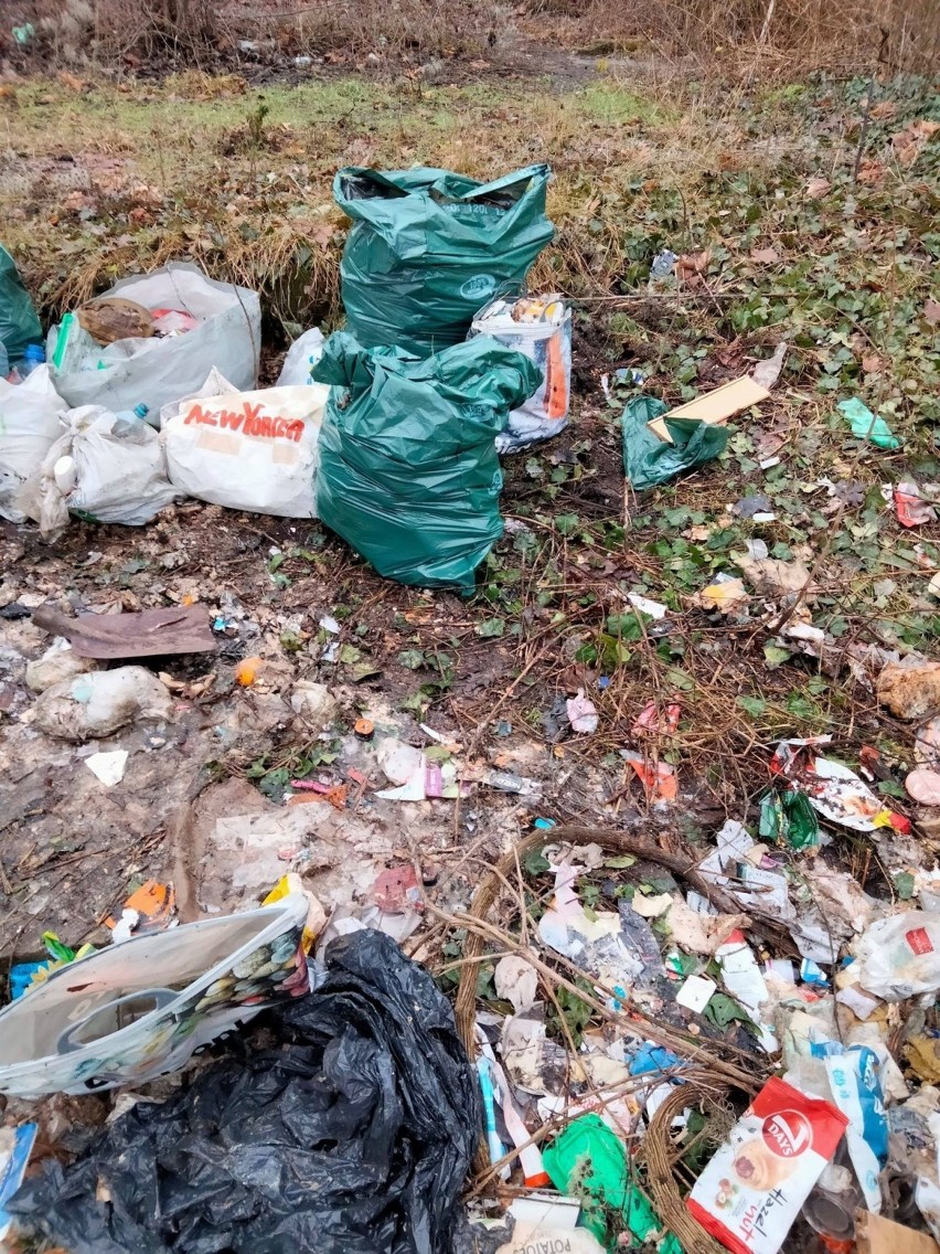 Przy ul. Warszawskiej śmieci zalegają od wielu tygodni.