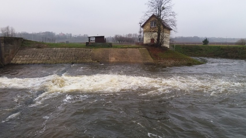 Prosna w Kościelnej Wsi