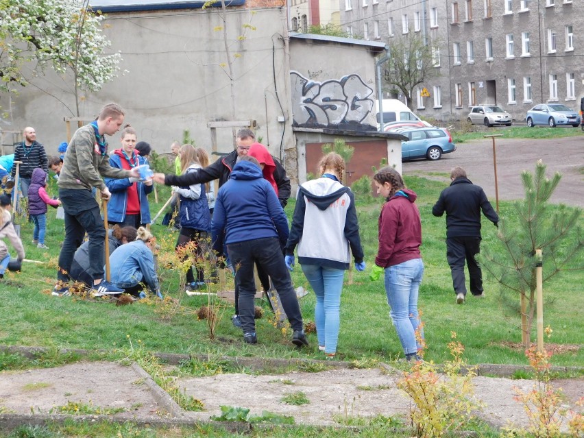 Wałbrzych: Setki osób sprzątały miasto, sadziły drzewka, krzewy i kwiaty ZDJĘCIA