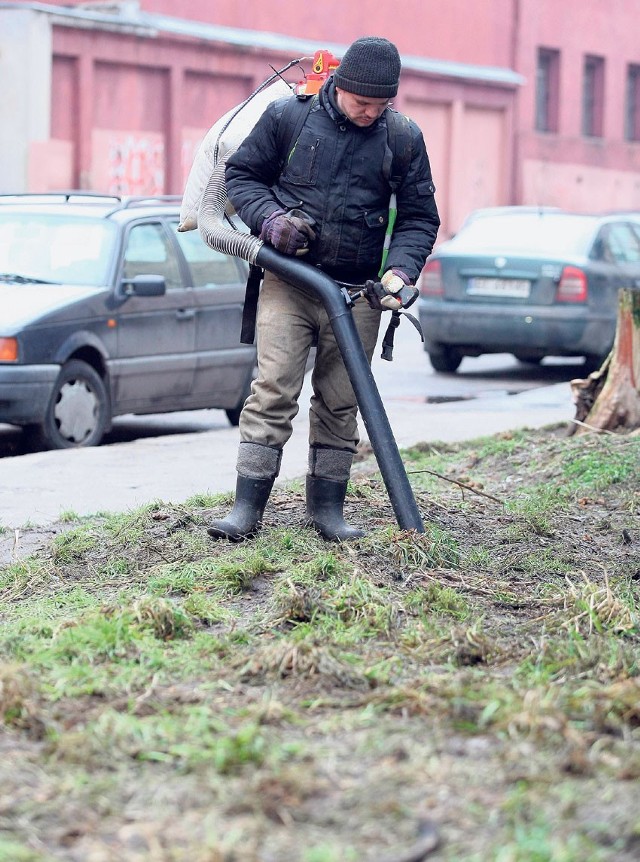 Dzięki odkurzaczowi udało się wysprzątać między innymi skwer przy zbiegu ul. Lipowej i al. 1 Maja, który służy jako toaleta dla okolicznych psów.