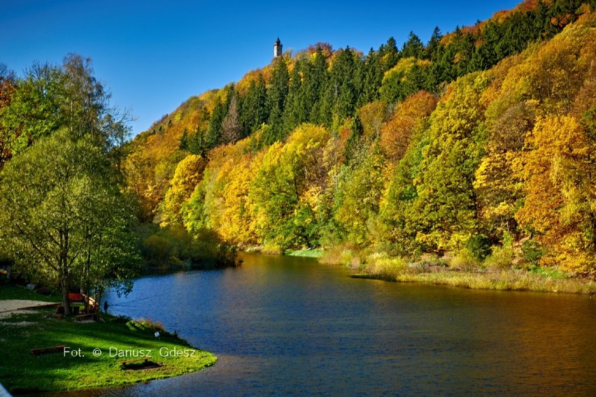 Piękna złota jesień w Zagórzu Śląskim. Idealny czas na spacer [ZDJĘCIA]