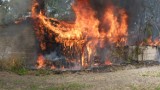 Pożar w Wąkczewie. Od płonącej trawy zapalił się budynek [ZDJĘCIA]