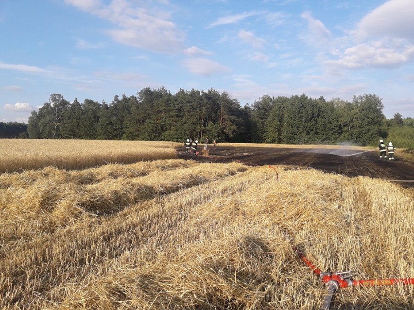 Pożar  zboża na pniu i słomy w Bachorzynie [zdjęcia]