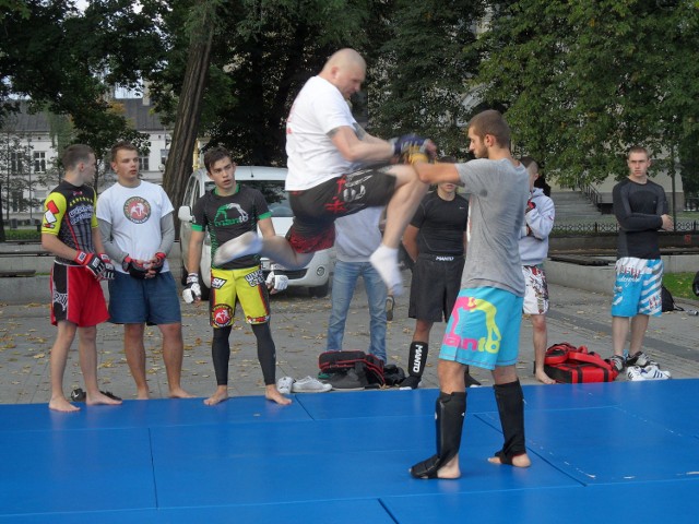 Wydra Gym MMA Częstochowa