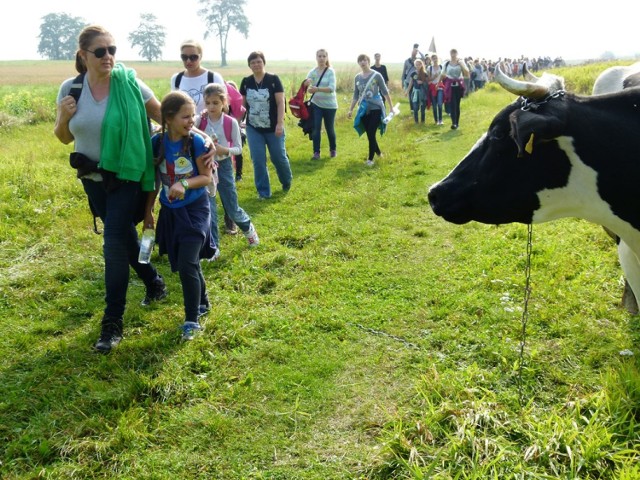 Rajd Szlakiem Walk nad Wartą 2014