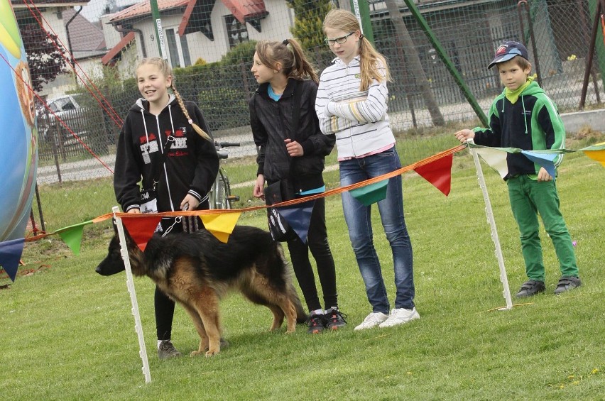 Eko festyn, Połchowo 2015