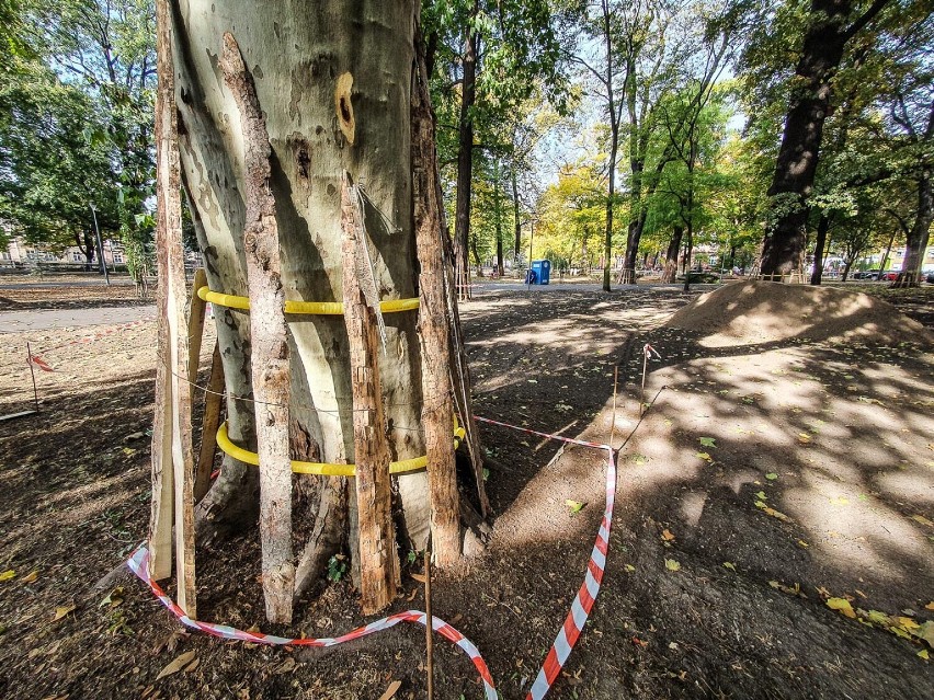 Rewitalizacja parku Kościuszki w Lesznie, czwarty etap - nasadzenia i zieleń
