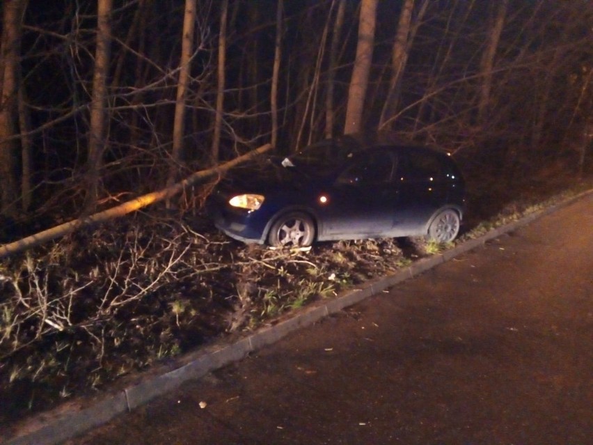 Pijany kierowca zjechał z drogi na Strzemięcinie [zdjęcia]