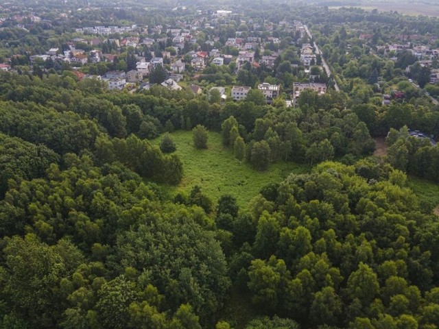 Rada Miejska uchwaliła plan, który ma ochronić południową granicą lasu Łagiewnickiego przed nową zabudową