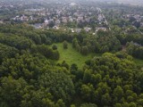 Rada Miejska uchwaliła plan, który ma ochronić południową granicą lasu Łagiewnickiego przed nową zabudową 