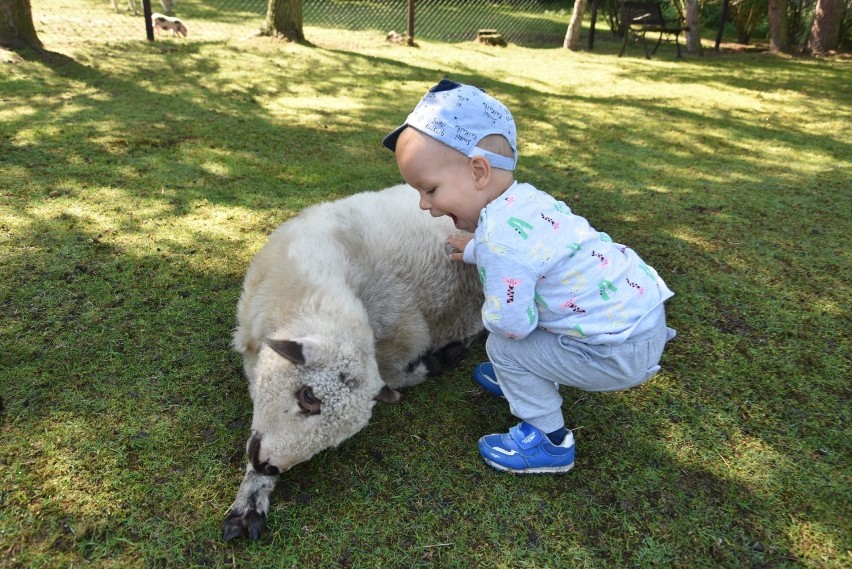 Zajrzyjcie z nami do Zagrody Trzy Siostry w...