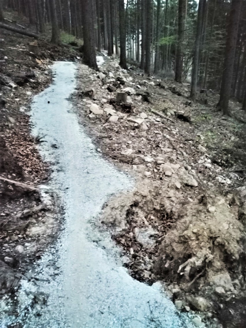 Ścieżki rowerowe singletrack w gminie Lądek-Zdrój zamknięte do odwołania 