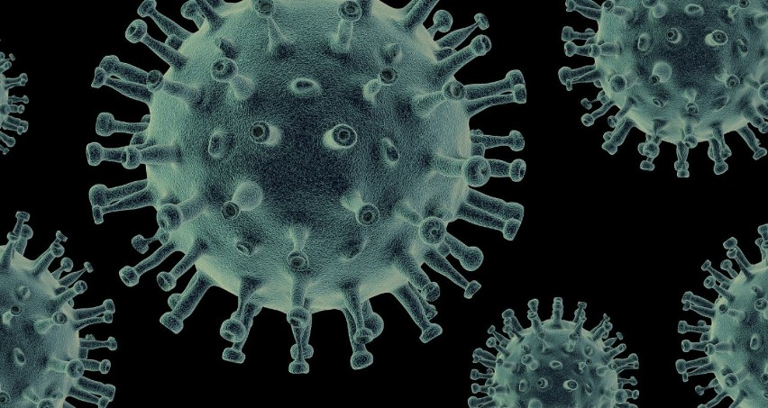 Sezon grypowy w pełni. Jak wzmacniać odporność organizmu? Co warto wiedzieć o grypie?