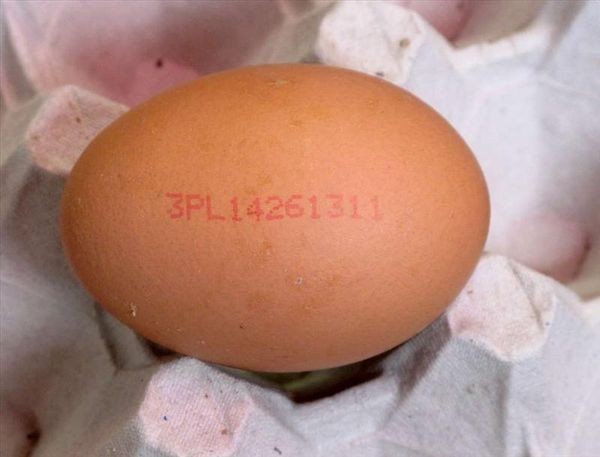 Kupujesz jajka w sklepie? Zwróć uwagę na 11-cyfrowy...