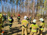 Strażacy z Oleśnicy i Sycowa szkolili się w lasach