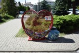 Serce na plastikowe nakrętki przed Starostwem Powiatowym w Dębicy