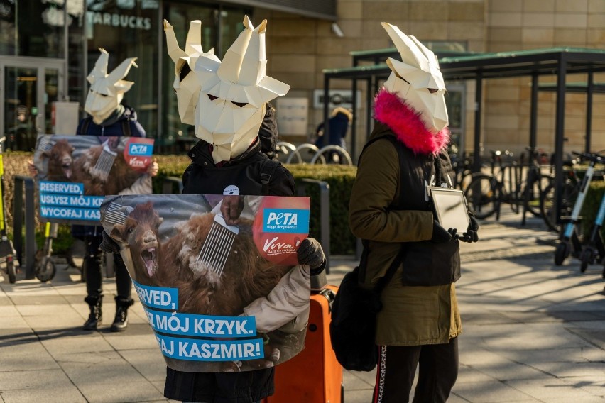 Aktywiści PETA i Viva! protestowali pod sklepem Reserved w Gdańsku. Sprzeciwiali się niehumanitarnemu pozyskiwaniu kaszmiru [zdjęcia]