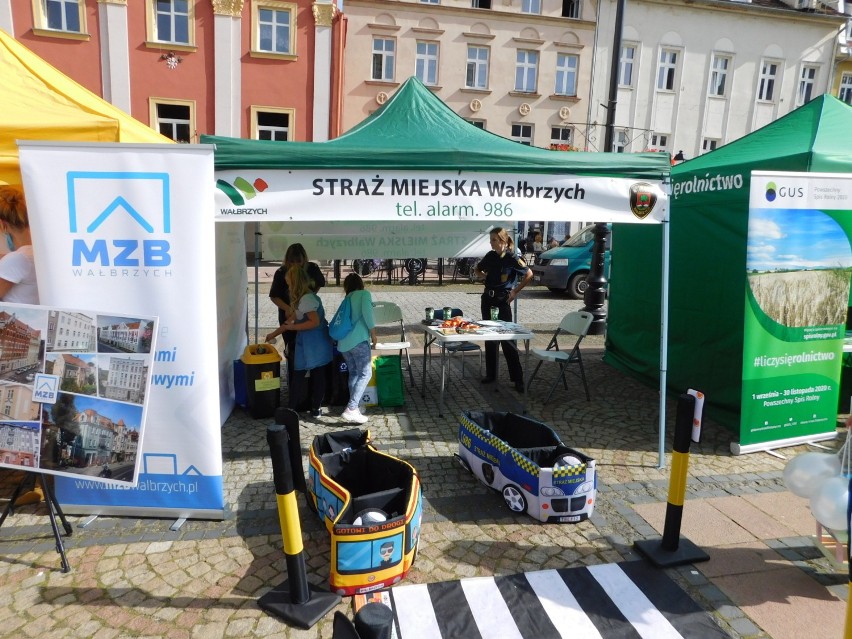 Piknik ekologiczny dla całych rodzin w centrum Wałbrzycha [ZDJĘCIA]