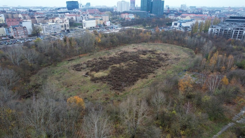 W pierwszym kwartale 2022 roku zostanie ogłoszony konkurs na...