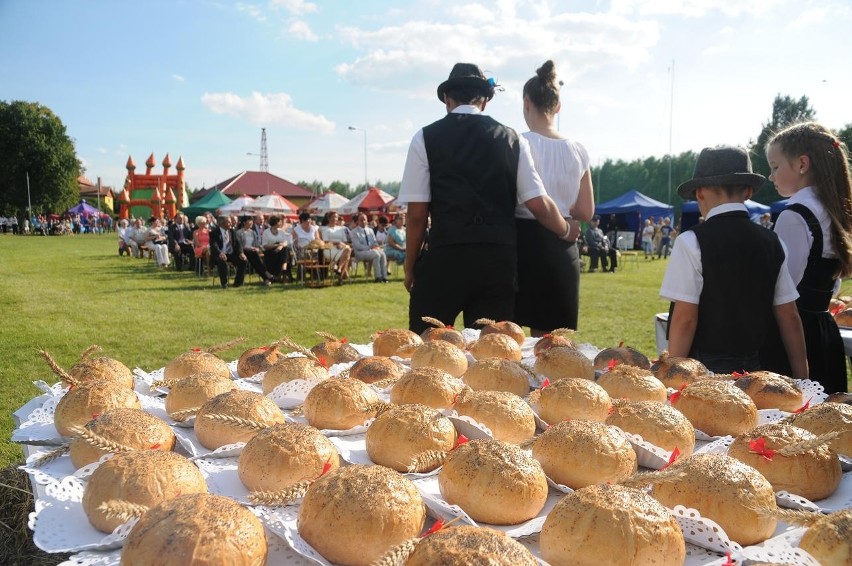 Dożynki gminne 2013 w Książu Wielkopolskim -...