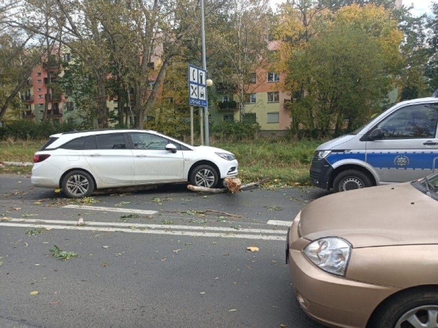Połamane drzewa na ulicy Poznańskiej spowodowały utrudnienia...