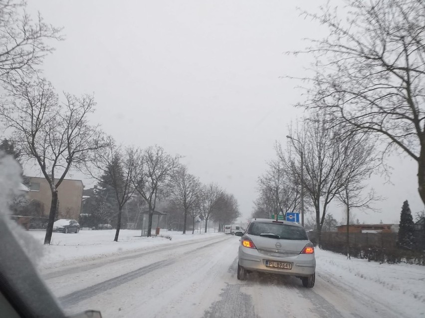 Leszno. Bardzo trudne warunki na drogach. Znaczna część z nich zasypana śniegiem. Ile pługów wysłano do akcji? [ZDJĘCIA]
