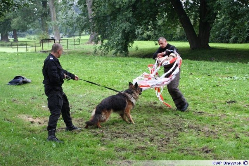 Szkolenie psów służbowych w Bielsku Podlaskim