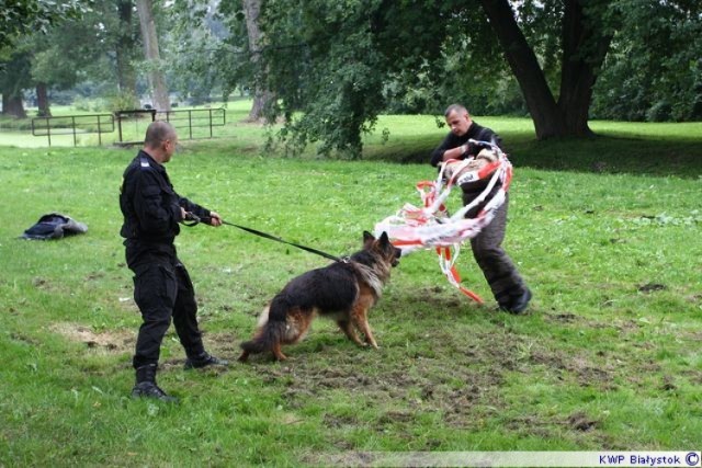 Szkolenie psów służbowych w Bielsku Podlaskim