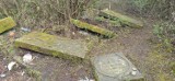 Cmentarz Olendrów na Białołęce trafi do rejestru zabytków. Deweloper chciał wybudować na tym terenie osiedle domów jednorodzinnych