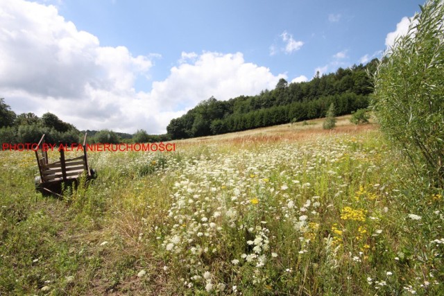 Na sprzedaż malowniczo położona działka budowlana o powierzchni 19 arów w Bystrzycy Górnej. Przy działce jest prąd, w drodze woda. W miejscowości brak kanalizacji i gazu.
Cena 209 000 zł