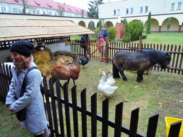 Żywa szopka u kapucynów