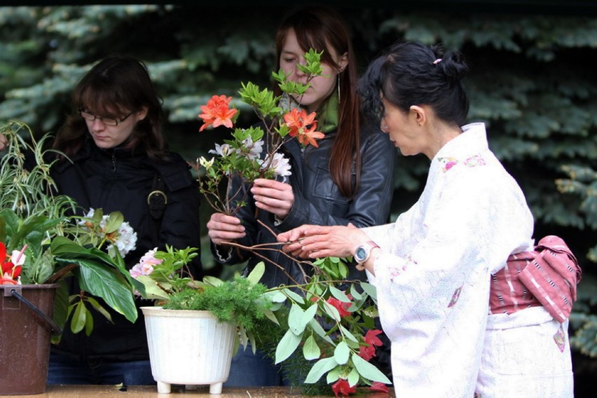 Japoński Dzień Zieleni i Dzień Dziecka w Ogrodzie Botanicznym