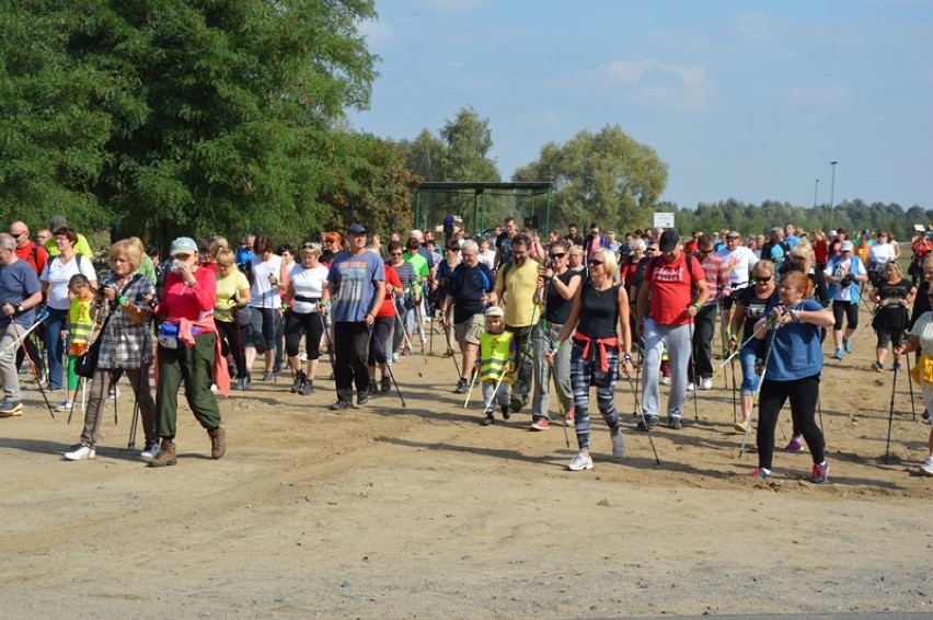 Pęczniew Egipt - II wyprawa nordic walking